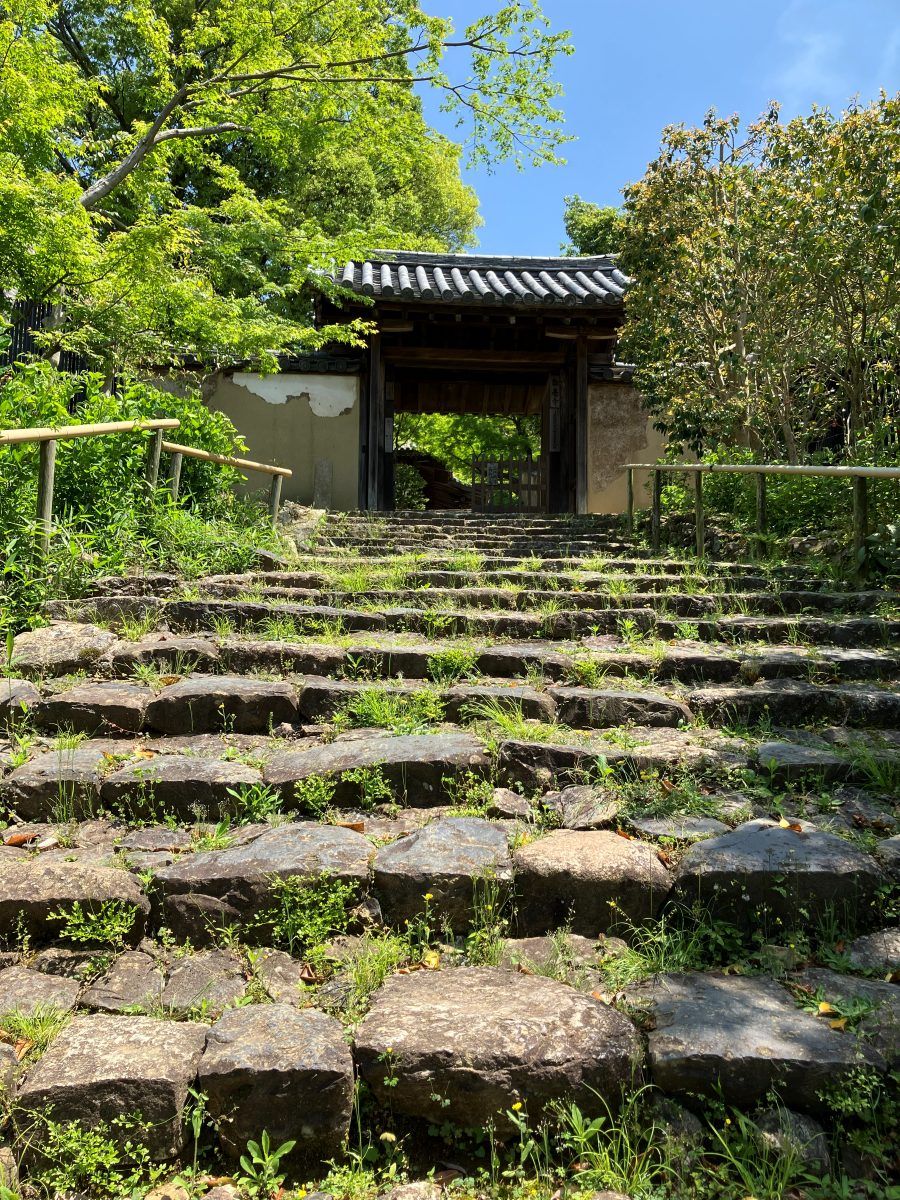 The view from Byakugoji Temple — the city of Nara spread out below from 200 metres up