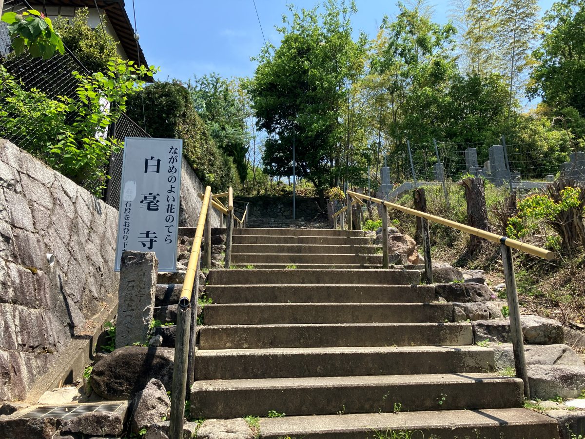 The entrance steps of Byakugoji Temple