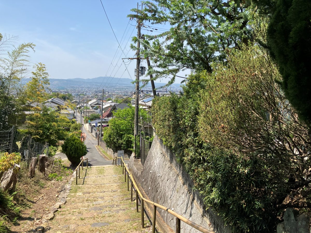 Looking back down the steps — the view already impressive
