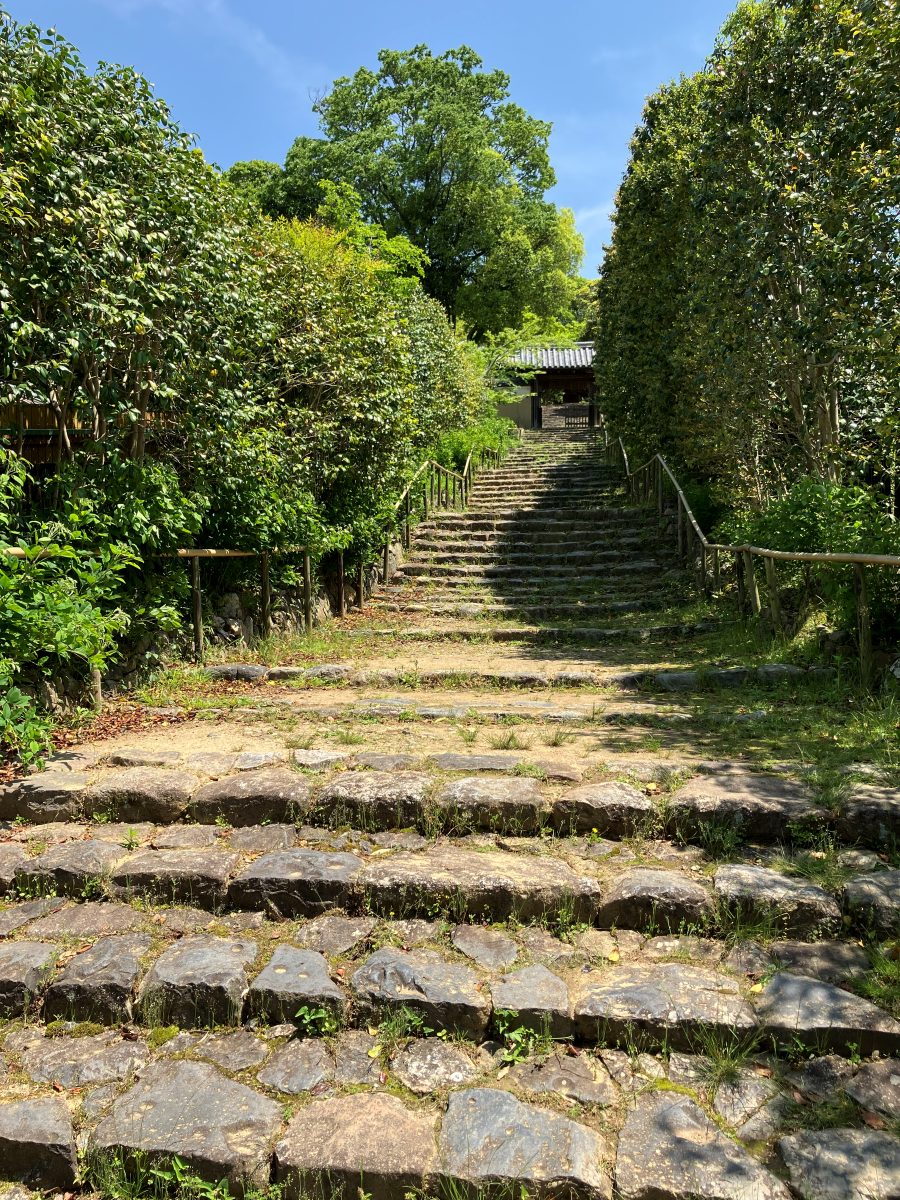 The temple gate visible above on the steps