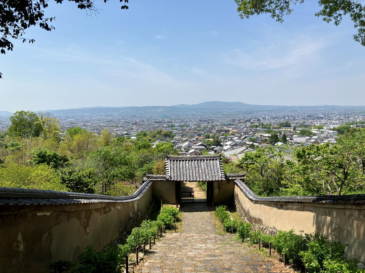 The panoramic view of Nara from beside the reception desk