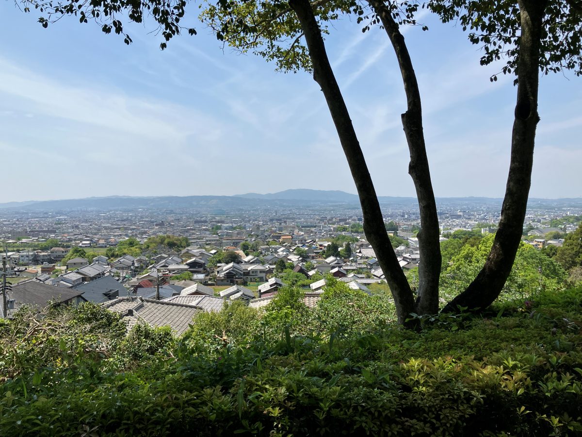 The lush temple grounds of Byakugoji