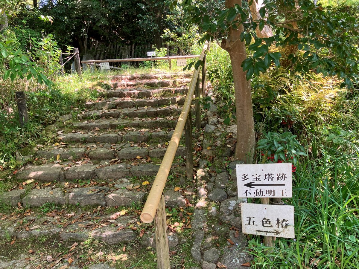 Byakugoji's grounds — mossy stone steps with a bamboo handrail and signboards for the Tahoto pagoda site, Fudo Myoo and the five-colored camellia