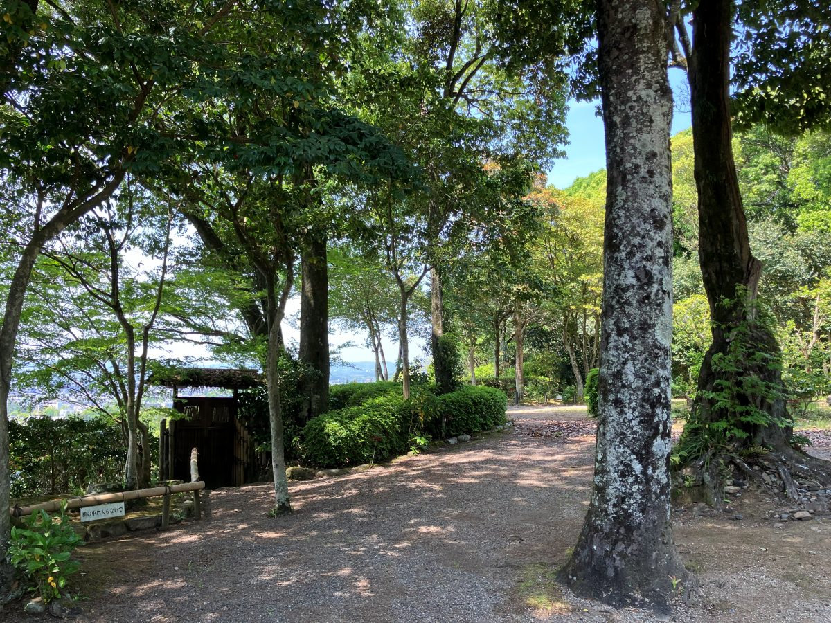 A tree-lined path in Byakugoji's grounds, with glimpses of the city of Nara through the trees