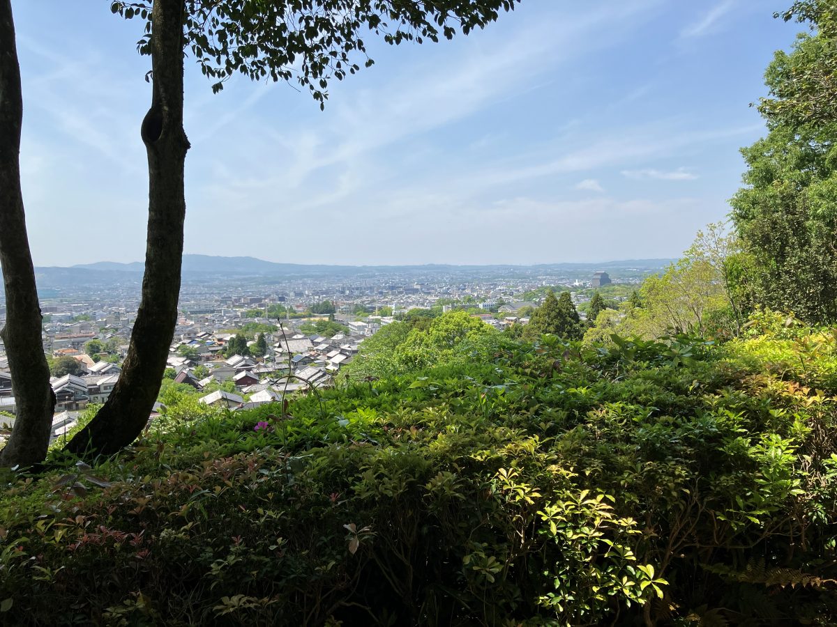 The city of Nara seen from Byakugoji — rooftops spreading beyond green trees, with mountains in the distance