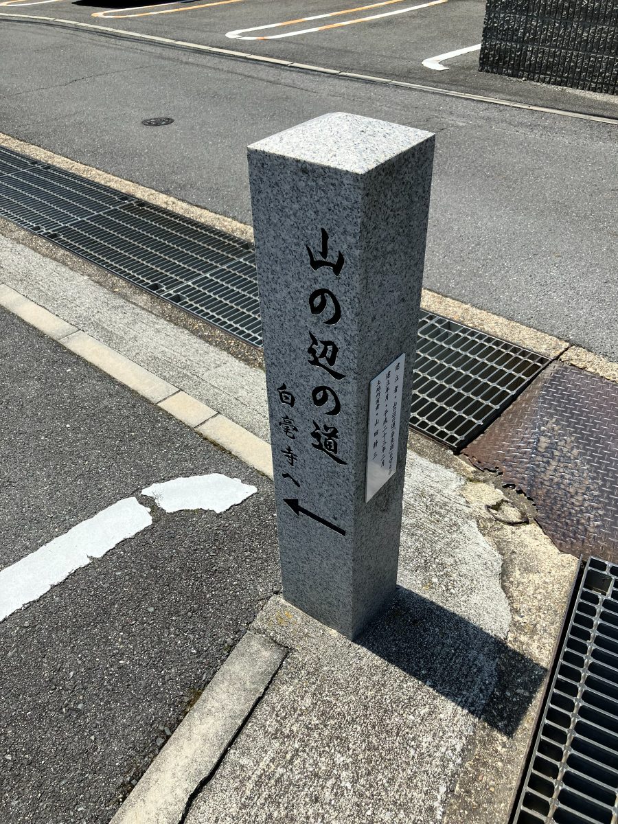 A signpost on the path — turn left