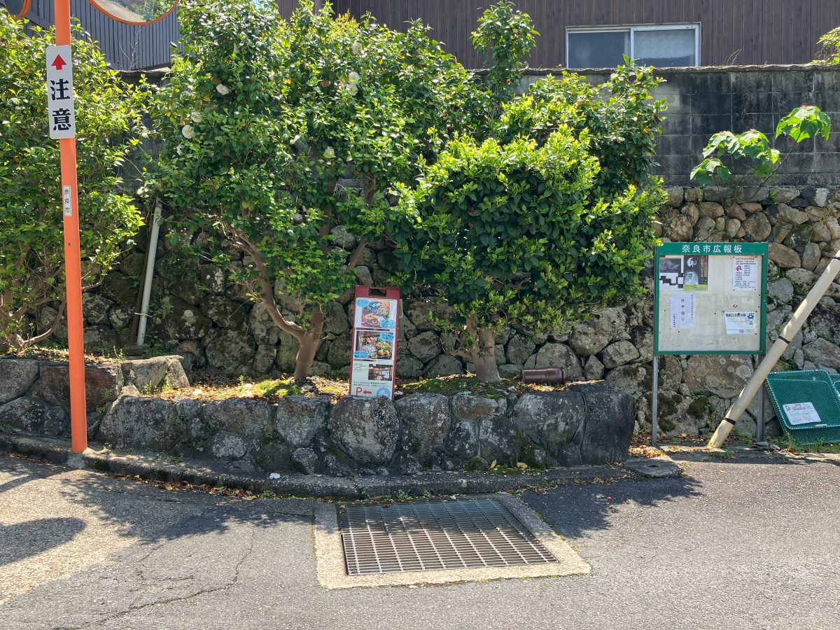 The T-intersection — the key turning point on this route