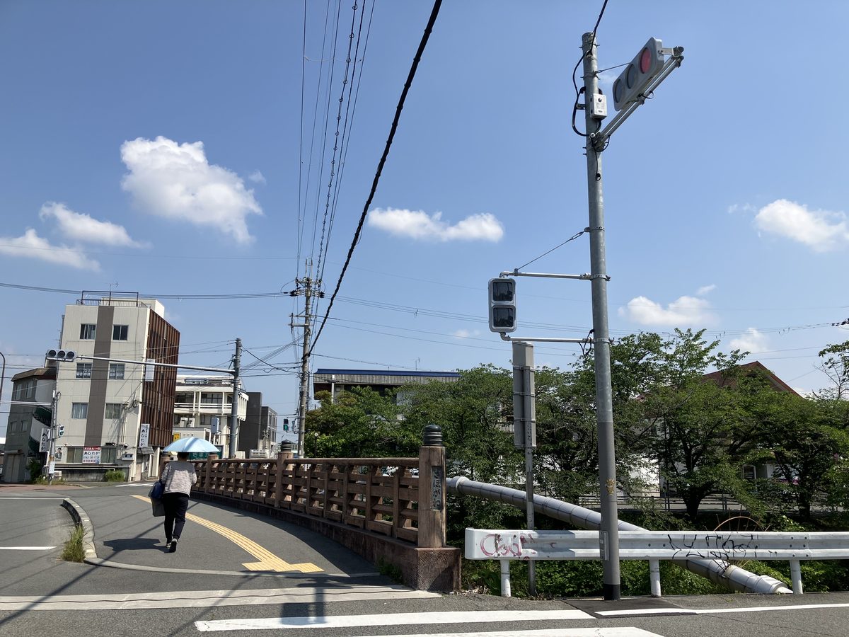 The crosswalk and traffic light on the left side