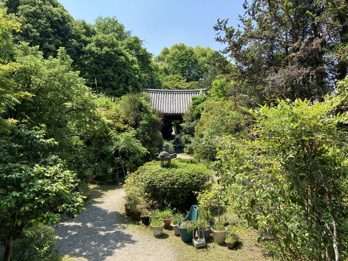 The precinct of Futaiji as seen from the main hall, a tranquil green space