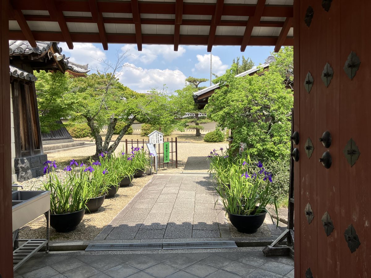 The entrance of Hokeji Temple, the gateway from the everyday world into a space rich with history