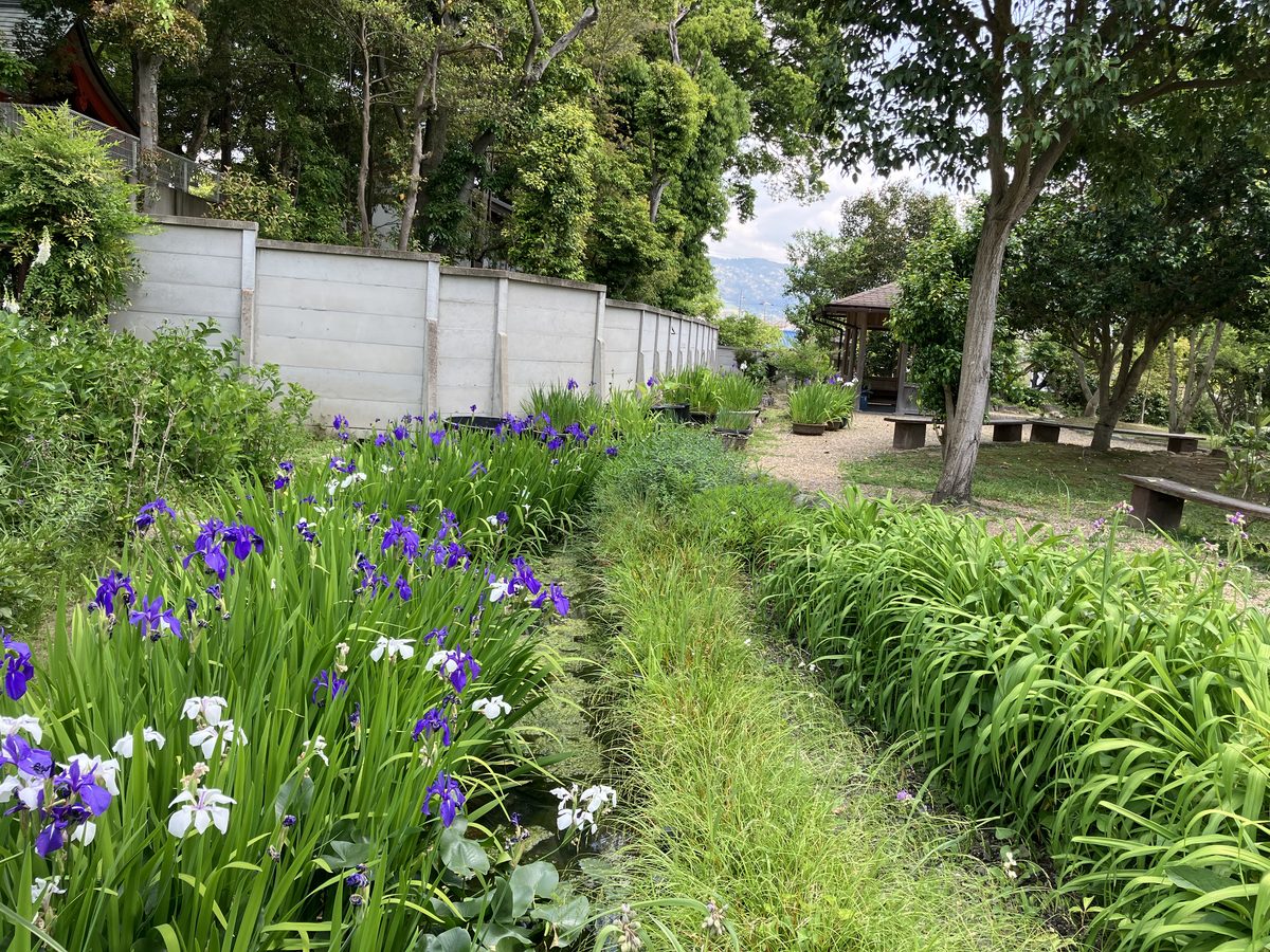 The Karakuen garden of Hokeji. Mt. Wakakusa can be seen in the distance.