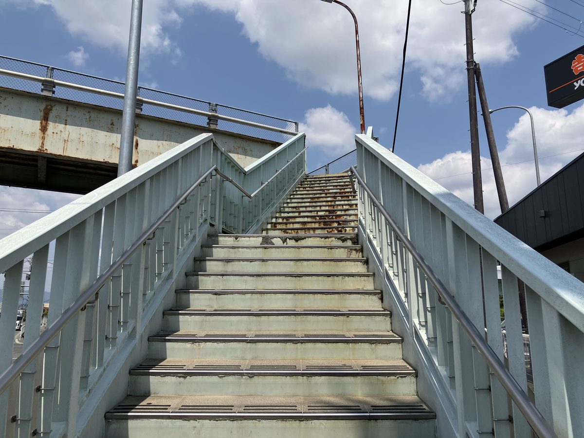 Climbing the overpass to get to the other side of the road