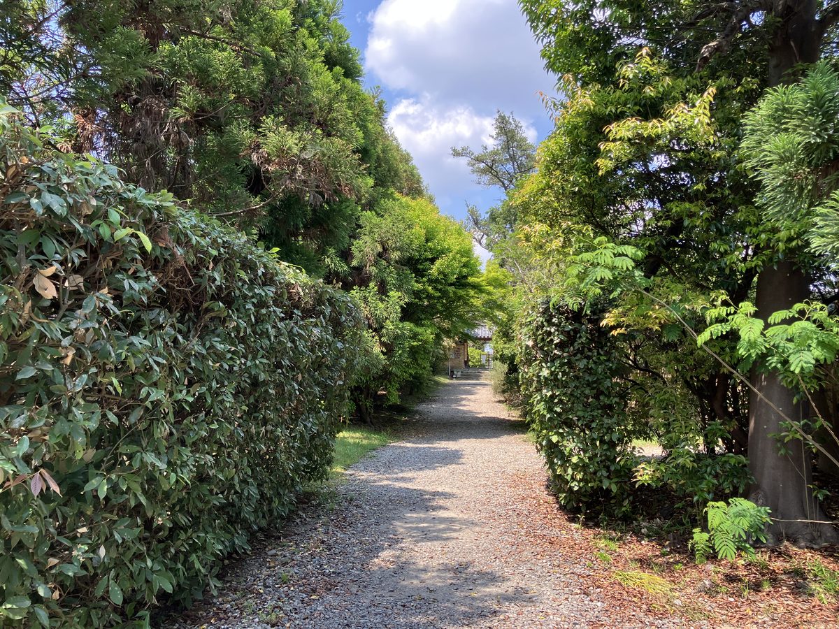 Upon passing through the gate, a green corridor beckons you deeper inside