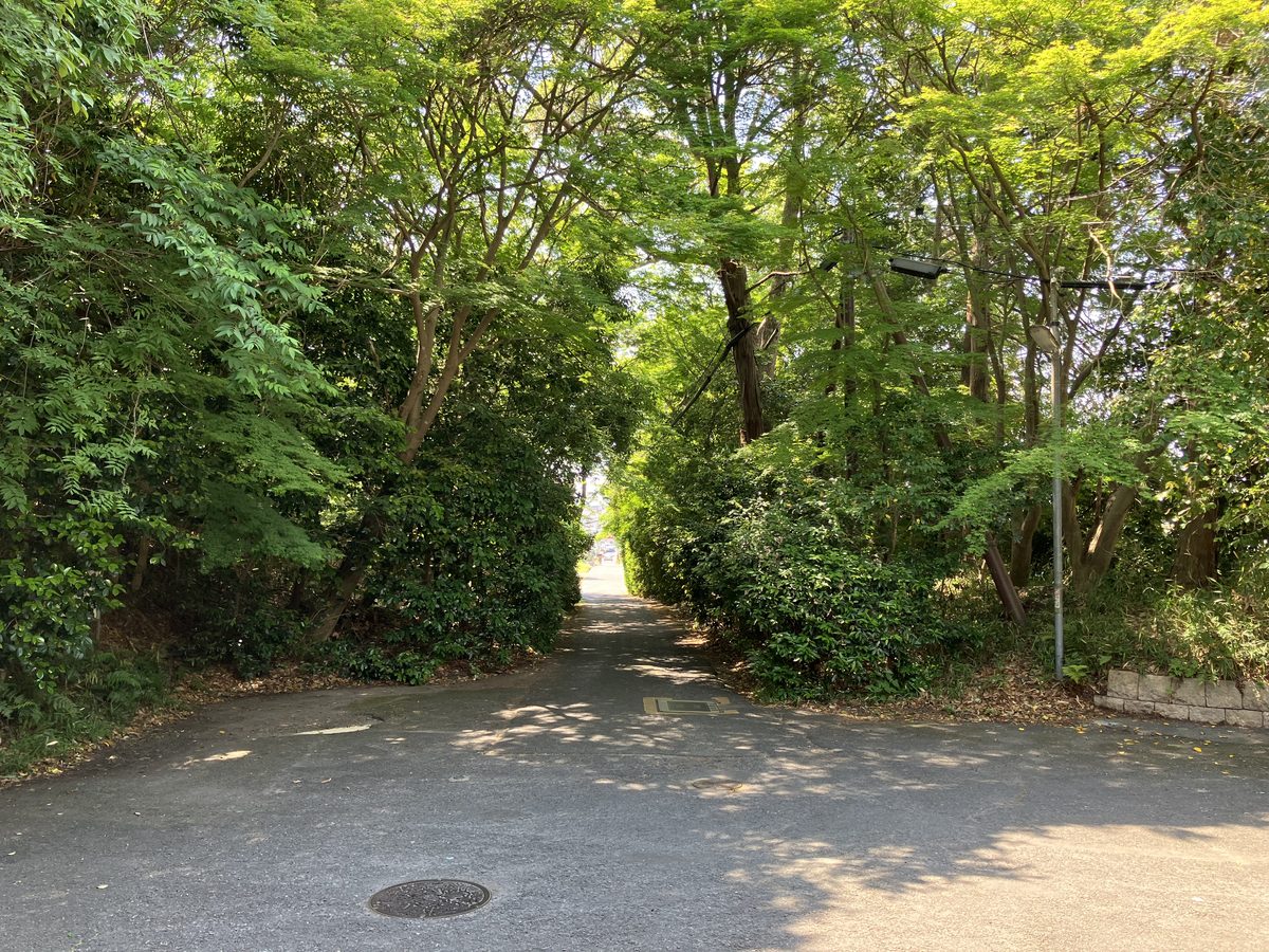 Passing back through the green tunnel at Futaiji and heading south