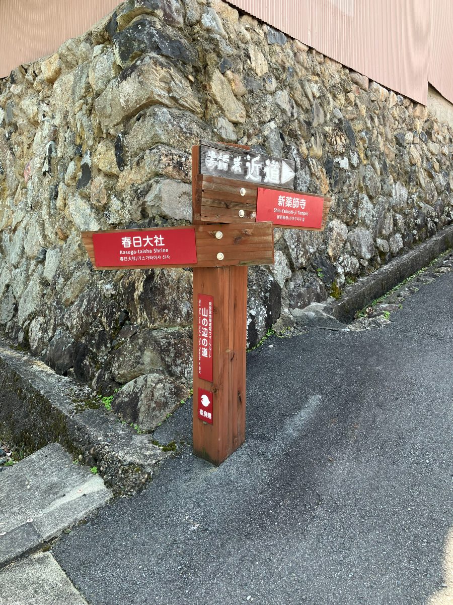 Cross the road and enter the small lane