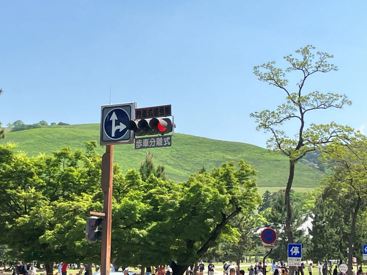 The intersection in front of Todaiji — turn right here